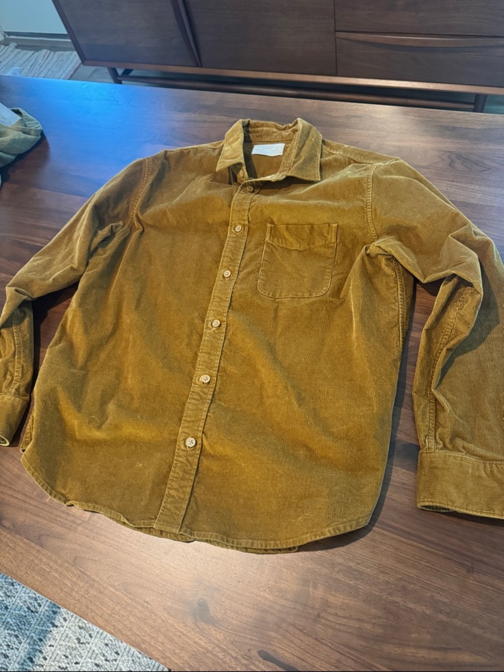Everlane Corduroy Shirt in Brown-Gold Tone